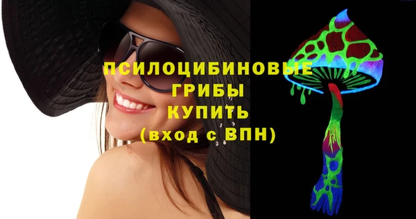 стафф Надым
