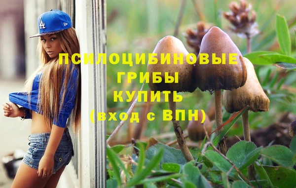 соль ск Наволоки