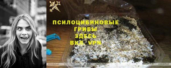 стафф Надым