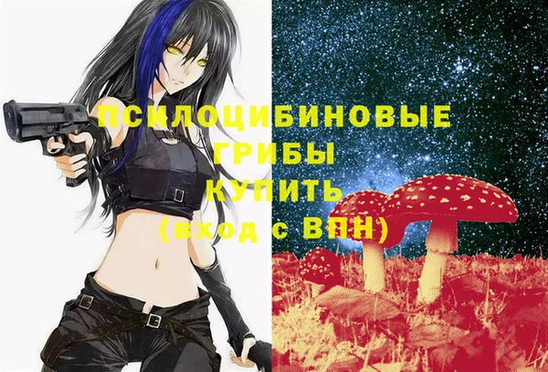 соль ск Наволоки