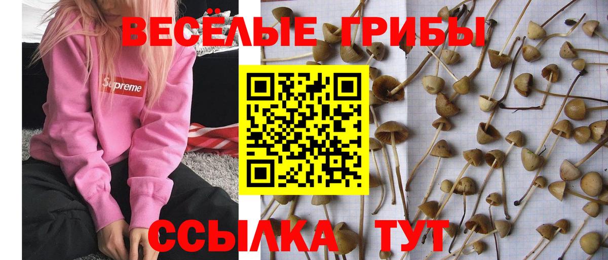 Псилоцибиновые грибы MAGIC MUSHROOMS Обнинск